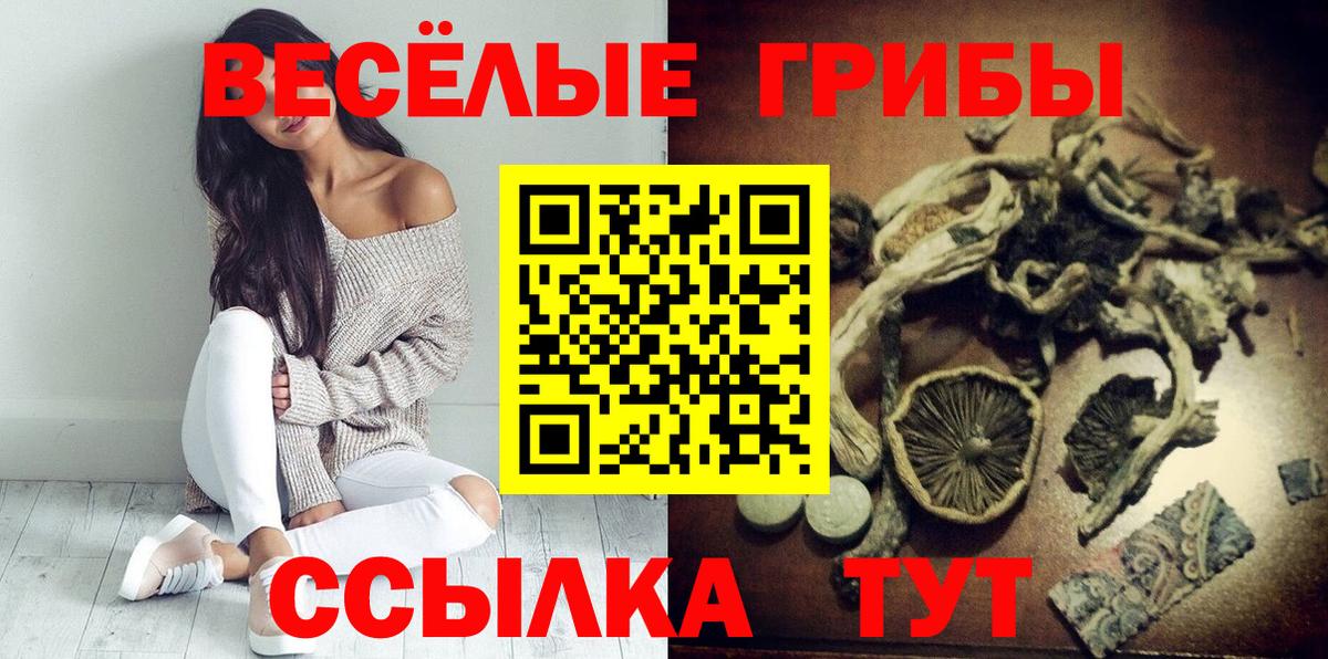 Псилоцибиновые грибы GOLDEN TEACHER Хасавюрт