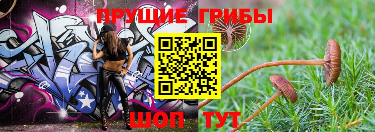 Хасавюрт  Галлюциногенные грибы MAGIC MUSHROOMS  Вход с VPN  закладки  Галлюциногенные грибы мухоморы 